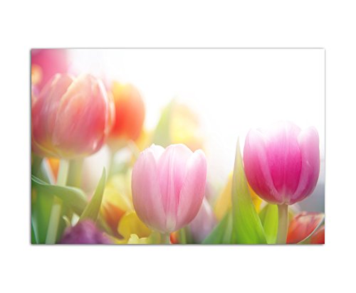 120x80cm - Fotodruck auf Leinwand und Rahmen Tulpen Blumen Frühling farbenfroh - Leinwandbild auf Keilrahmen modern stilvoll - Bilder und Dekoration von Augenblicke Wandbilder