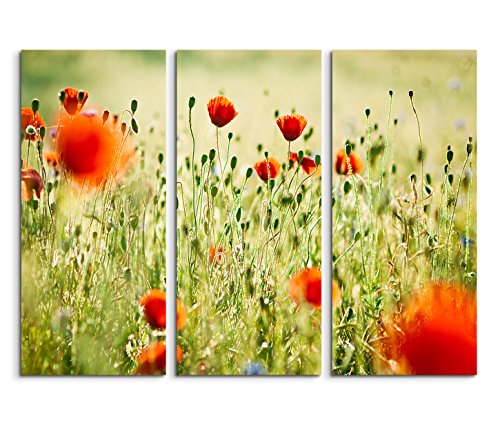 3x40x90cm (Gesamt:130x90cm) 3teiliges Bild auf Leinwand Wieso Mohnblumen Sommer Wandbild auf Leinwand als Panorama von Augenblicke Wandbilder