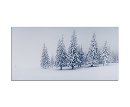 Augenblicke Wandbilder 120x60cm - Fotodruck auf Leinwand und Rahmen Winter Bäume Schnee Landschaft - Leinwandbild auf Keilrahmen modern stilvoll - Bilder und Dekoration von Augenblicke Wandbilder