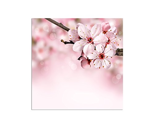 Augenblicke Wandbilder 80x80cm - Fotodruck auf Leinwand und Rahmen Blüte Blume Frühling rosa - Leinwandbild auf Keilrahmen modern stilvoll - Bilder und Dekoration von Augenblicke Wandbilder