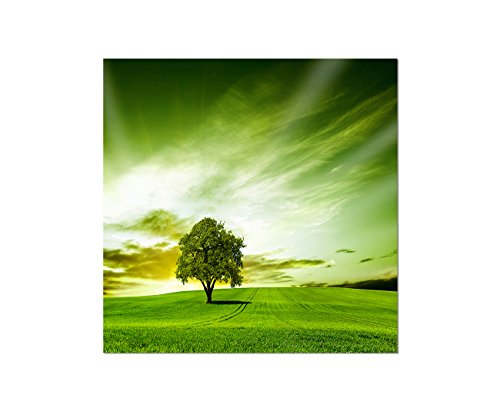 Augenblicke Wandbilder 80x80cm - Fotodruck auf Leinwand und Rahmen Landschaft Wiese Baum Himmel grün - Leinwandbild auf Keilrahmen modern stilvoll - Bilder und Dekoration von Augenblicke Wandbilder