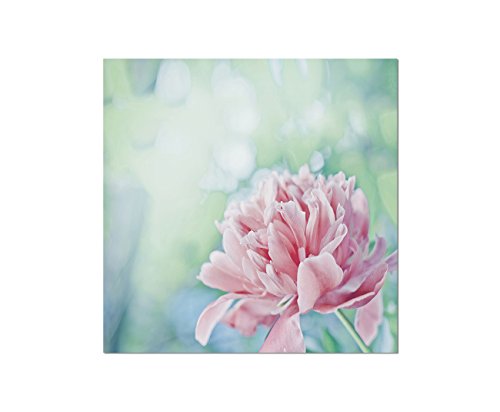 Augenblicke Wandbilder 80x80cm - Fotodruck auf Leinwand und Rahmen Pfingstrose Blüte Blume rosa - Leinwandbild auf Keilrahmen modern stilvoll - Bilder und Dekoration von Augenblicke Wandbilder