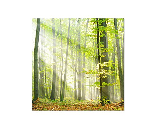 Augenblicke Wandbilder 80x80cm - Fotodruck auf Leinwand und Rahmen Wald Laub Herbst Sonnenstrahlen - Leinwandbild auf Keilrahmen modern stilvoll - Bilder und Dekoration von Augenblicke Wandbilder