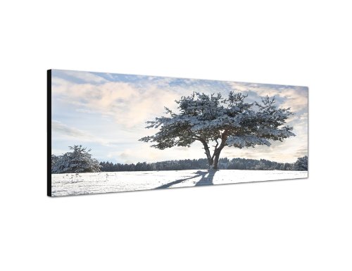 Augenblicke Wandbilder Keilrahmenbild Wandbild 150x50cm Baum Schatten Schnee Winter Wolkenschleier von Augenblicke Wandbilder
