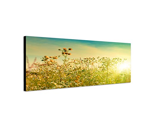 Augenblicke Wandbilder Keilrahmenbild Wandbild 150x50cm Blumenwiese Herbst Sonnenstrahlen von Augenblicke Wandbilder