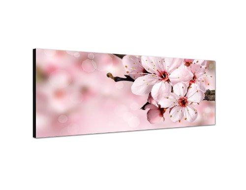 Augenblicke Wandbilder Keilrahmenbild Wandbild 150x50cm Kirschblüte Sommer pink rosa Augenblicke Wandbilder Keilrahmenbild Wandbild 150x50cm Kirschblüte Sommer pink rosa von Augenblicke Wandbilder