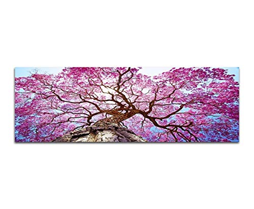 Augenblicke Wandbilder Keilrahmenbild Wandbild 150x50cm Lapacho-Baum Blüten rosa Sonnenstrahlen von Augenblicke Wandbilder