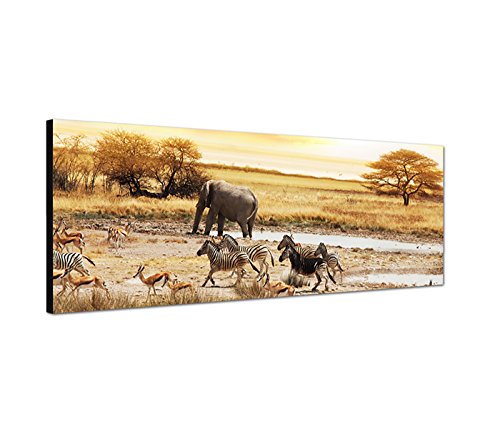 Augenblicke Wandbilder Leinwandbild als Panorama in 150x50cm Afrika Safari Zebras Elefant Landschaft von Augenblicke Wandbilder