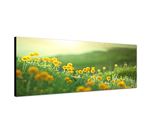 Augenblicke Wandbilder Leinwandbild als Panorama in 150x50cm Blumenwiese Morgenlicht Frühling von Augenblicke Wandbilder