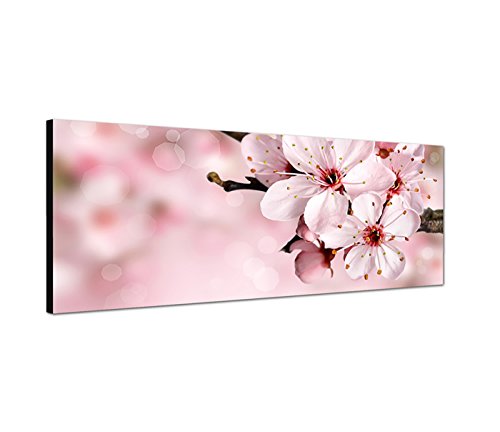 Augenblicke Wandbilder Leinwandbild als Panorama in 150x50cm Kirschblüte Sommer pink rosa von Augenblicke Wandbilder