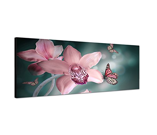 Augenblicke Wandbilder Leinwandbild als Panorama in 150x50cm Orchideen Schmetterlinge Nahaufnahme Augenblicke Wandbilder Leinwandbild als Panorama in 150x50cm Orchideen Schmetterlinge Nahaufnahme von Augenblicke Wandbilder