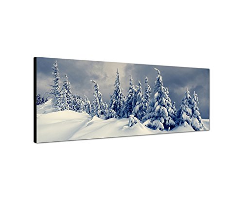 Augenblicke Wandbilder Leinwandbild als Panorama in 150x50cm Winterlandschaft Bäume Schnee Wolken von Augenblicke Wandbilder