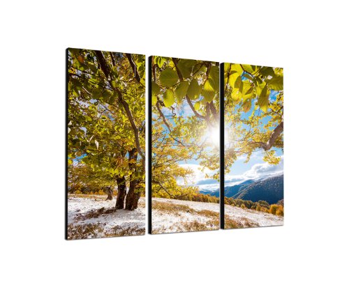 Herbst Sonnenschein 3x40x90cm dreiteiliges Wandbild auf Leinwand und Keilrahmen fertig zum aufhängen - Unsere Bilder auf Leinwand bestechen durch ihre ungewöhnlichen Formate und den extrem detaillierten Druck aus bis zu 100 Megapixel hoch aufgelösten Fotos. von Augenblicke Wandbilder