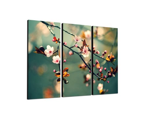 Japanische Kirsche Baumbild 3x40x90cm dreiteiliges Wandbild auf Leinwand und Keilrahmen fertig zum aufhängen - Unsere Bilder auf Leinwand bestechen durch ihre ungewöhnlichen Formate und den extrem detaillierten Druck aus bis zu 100 Megapixel hoch aufgelösten Fotos. von Augenblicke Wandbilder
