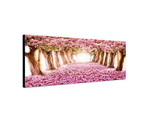 Augenblicke Wandbilder Keilrahmenbild Wandbild 150x50cm Allee Bäume Blüten Blütentunnel rosa von Augenblicke Wandbilder