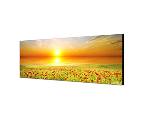 Augenblicke Wandbilder Leinwandbild als Panorama in 150x50cm Mohnblumen Feld Frühling Sonnenuntergang von Augenblicke Wandbilder