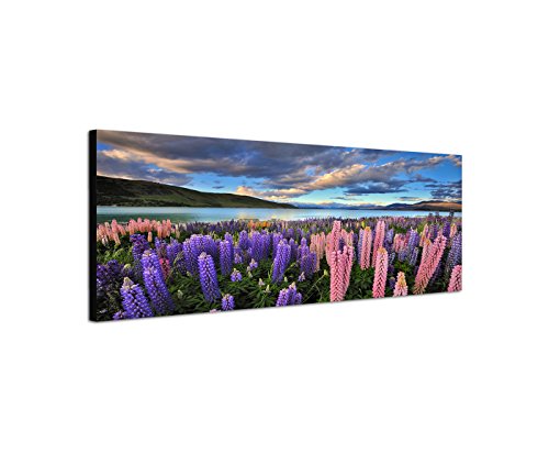 Augenblicke Wandbilder Leinwandbild als Panorama in 150x50cm Neuseeland Blumenwiese Berge See Natur von Augenblicke Wandbilder