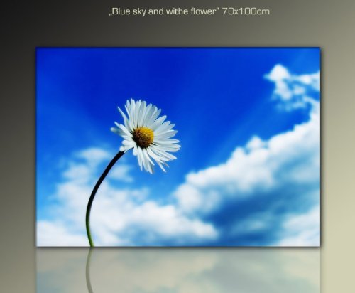 Schönes Blumenbild!!! Deko Bild auf Leinwand xxl large (White-flower-and-blue-sky-100x70cm) HD Bilder fertig gerahmt mit Keilrahmen groß. Ausführung schöner Kunstdruck auf echter Leinwand als Wandbild mit Rahmen. Preiswerter als Ölbild Gemälde Poster Plakat mit Bilderrahmen. Picture Typ (Natur Blume Blütenblätter Himmel Wolken weiß blau). 100% Made in Germany. von Augenblicke Wandbilder