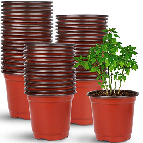 Augshy 110 Stück 10cm Pflanzentöpfe Anzuchttöpfe Rot Plastik Blumentopf für Sukkulenten Setzlinge Stecklinge Umpflanz von Augshy