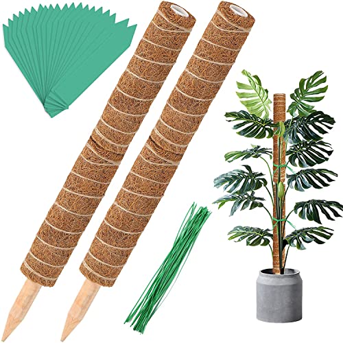 Augshy 4 Stück 30.5 cm Kokosfaser Totemstange Moosstangen für Zimmerpflanzen, Kletterpflanzen, Pflanzentotem für Pflanzenunterstützung, Creepers, mit 40 Pflanzenetiketten und 40 Spiralbindern von Augshy