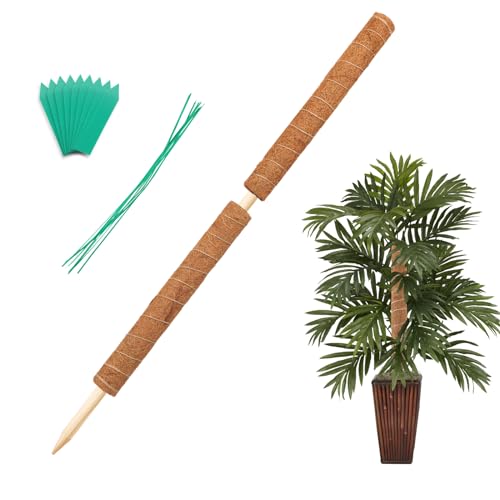 Augshy 86cm Monstera Rankhilfe, 2 Stück 50cm Pflanzstab Moosstab Moss Pole für Zimmerpflanzen Unterstützen Pflanzenpfähle von Augshy