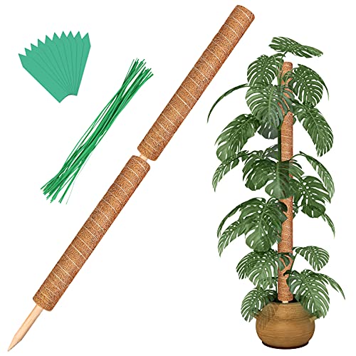 Augshy Gesamtlänge 109 cm Moosstangen – 2 Stück 61 cm Pflanzenstützstäbe für Zimmerpflanzen Kokosfaser Totemstange für Creeper Monstera Pflanzen Klettern. von Augshy