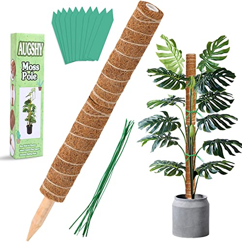 Augshy 2 Stück 30.5 cm Kokosfaser Totemstange Moosstangen für Zimmerpflanzen, Kletterpflanzen, Pflanzentotem für Pflanzenunterstützung, Creepers, mit 40 Pflanzenetiketten und 40 Spiralbindern von Augshy