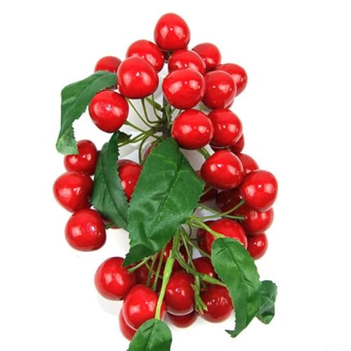 Künstliche Früchte Longan, Litschi, Heidelbeere und Kirschen für Heimdekoration und Blumenarrangements (E) von AugustknowU