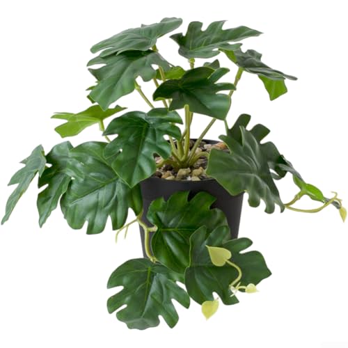 Künstliche Hängepflanze Bonsai für Schreibtisch und Wand, mit lebensechten Kunststoffblättern und Konstruktion, pflegeleichte Innendekoration (E) von AugustknowU