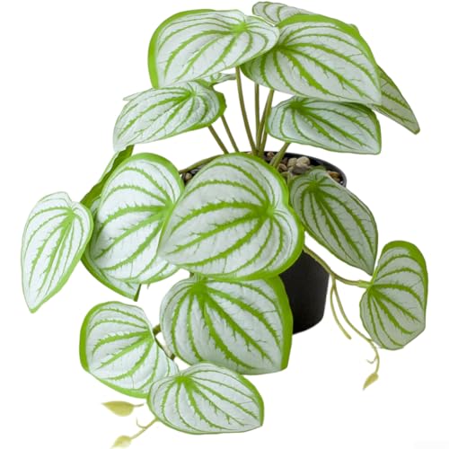 Künstliche Hängepflanze Bonsai für Schreibtisch und Wand, mit lebensechten Kunststoffblättern und Konstruktion, pflegeleichte Innendekoration (G) von AugustknowU