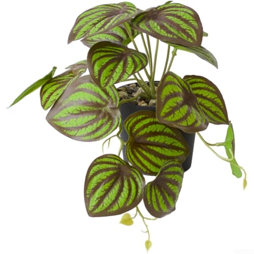 Künstliche Hängepflanze Bonsai für Schreibtisch und Wand, mit lebensechten Kunststoffblättern und Konstruktion, pflegeleichte Innendekoration (H) von AugustknowU