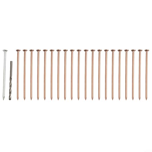 Kupfer-Spitzennägel, 10,2 cm lang, um effektiv Baumwurzeln und Baumstümpfe zu entfernen (20 Stück) von AugustknowU