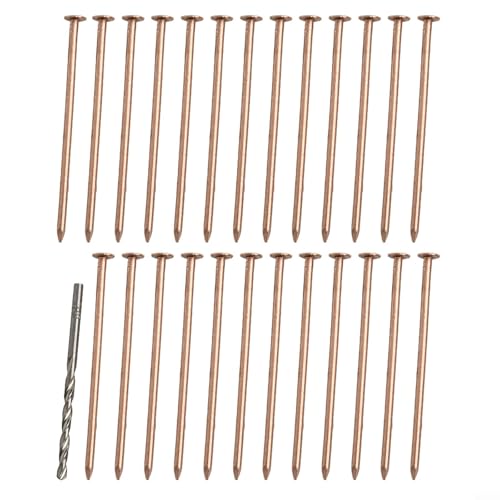 Kupfer-Spitzennägel, 10,2 cm lang, um effektiv Baumwurzeln und Baumstümpfe zu entfernen (25 Stück) von AugustknowU