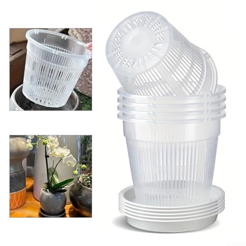 Leichte transparente Orchideenbehälter, 6er-Set für optimale Bodenfeuchtigkeitskontrolle (4 cm) von AugustknowU