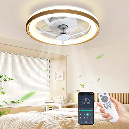 Deckenventilator mit Beleuchtung und Fernbedienung, Φ48cm Leise Moderne LED Dimmbar Deckenleuchte mit Timer und APP Ventilator 6 Geschwindigkeiten 3 Farben für Wohnzimmer Schlafzimmer,Goldene von Auiaerty