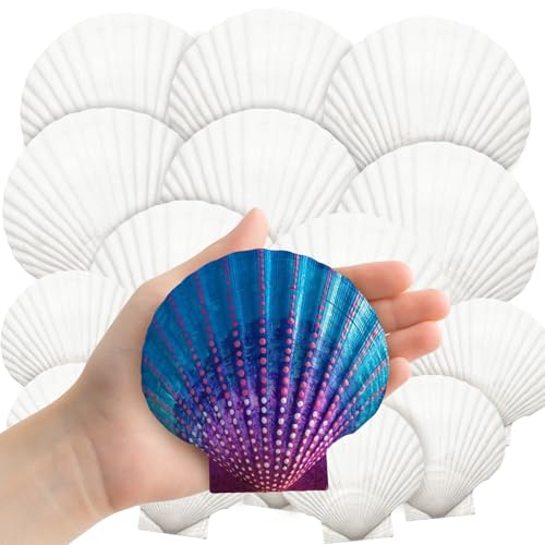 Auiremrti 18 natürliche Jakobsmuscheln,2 GrößenWeiße Muscheln in Großpackung zum Basteln, Malen, Backen und für die Dekoration von Sommer, Strand von Auiremrti