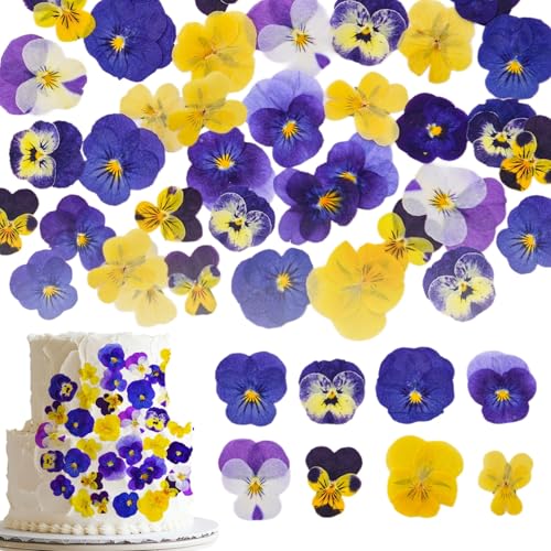 Auiremrti 40 Stück 8 Arten natürlich getrocknete,Gepresste,Essbare Blumen zum Dekorieren von Kuchenaufsätzen – Mix aus dreifarbigen Viola für Cocktails,DIY-Kunsthandwerk von Auiremrti