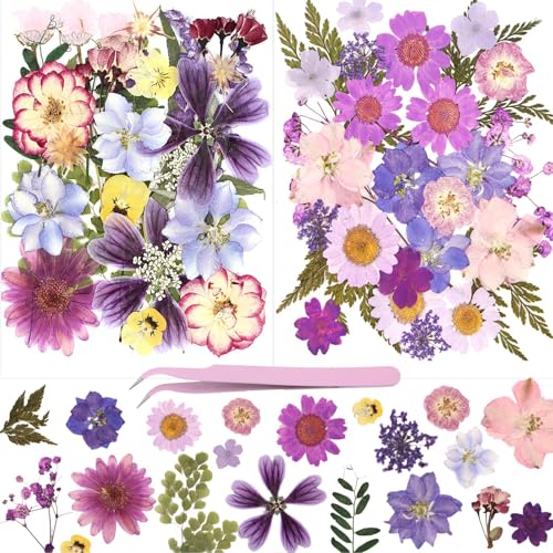 Auiremrti 55 Getrocknete Blumen Und Gepresste Blüten-Natürliche Getrocknete Dekoration Mit Silberner Pinzette-Perfekt Für Basteln,Kunstprojekte Und Scrapbooking von Auiremrti