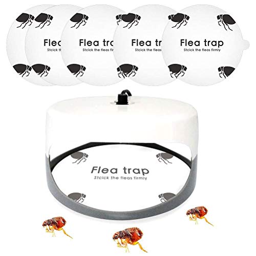 Flohfallen-Aufkleber, Wirksame Klebrige Fliegenfallen für Zuhause, Schlafzimmer, 5 Stück, weiß, Kuppel-Flohfallen-Nachfüllung (1) von Aumotop