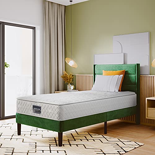 Aunvla Federkernmatratze, 7 Zonen Kaltschaum Matratze, Taschenfederker, 90x200cm, 100% Oeko-Tex zertifiert, versteppter Mikrofaserbezug-Topping,100 Nächte Probeschlafen, Härtegrad H3, 25cm Höhe Aunvla Federkernmatratze, 7 Zonen Kaltschaum Matratze, Taschenfederker, 90x200cm, 100% Oeko-Tex zertifiert, versteppter Mikrofaserbezug-Topping,100 Nächte Probeschlafen, Härtegrad H3, 25cm Höhe von Aunvla