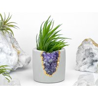 Amethyst Geode Übersieder | Sukkulenten Indoor Beton Kristall Übertopf Kaktus Topf Luftpflanzenhalter 6 Zoll von Aura8ArtBoutique