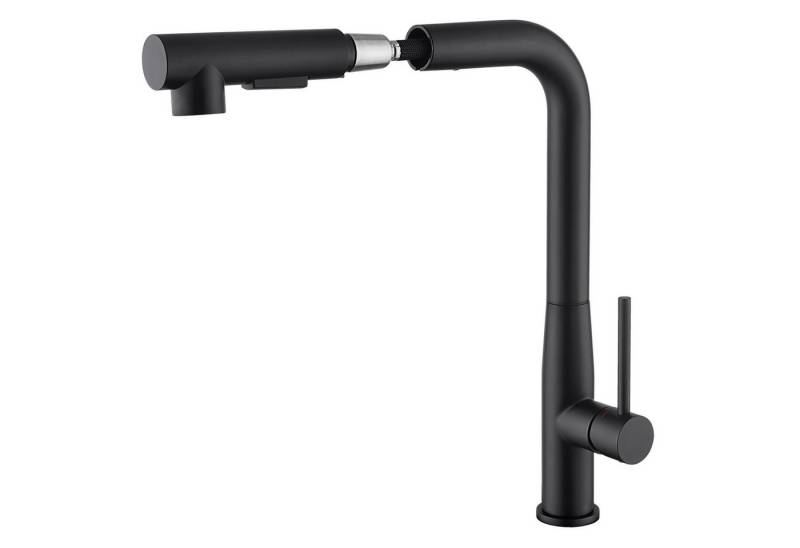 Auralum Max Spültischarmatur Küchenarmatur Wasserhahn Edelstahl Einhandmischer mit 2 Strahlarten Ausziehbar Brause von Auralum Max