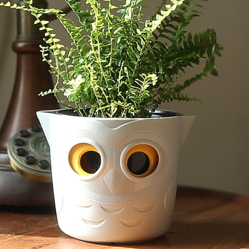 Aurexis Deko Blumentopf Eule mit Füllstandsanzeige – Pflanztopf in Eulenform mit Augen-Design – Indoor Blumentopf für Zimmerpflanzen – Weißer Übertopf mit Wasserstandsanzeige von Aurexis