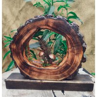 Holzscheibe Mit Beleuchtung, Holzlampe, Holzscheibe, Tischleuchte, Dekoration Holzscheibe Mit Beleuchtung, Holzlampe, Holzscheibe, Tischleuchte, Dekoration von AuroraVei