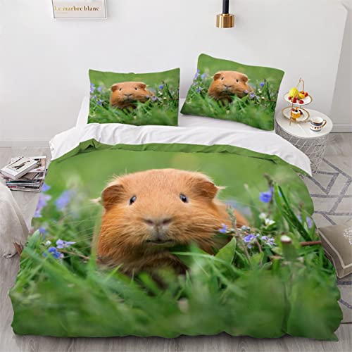 Bettbezüge 135x200 Meerschweinchen-Wiesen 3d Motiv Bettwäsche Hochwertig Mikrofaser Bettwäsche-Sets Süße Tiere Weiche Bettwaren mit Reißverschluss und 2 Kissenbezug 80x80 für Kinder Jugendliche von Aurorai