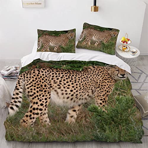 Bettwäsche 135x200 Gepard 3D Druck Bettbezüge Kuschelig Atmungsaktive Bettwäsche-Sets 3 Teilig Afrikanische Tierwelt Bunt Dekorativ Betten Set mit 2 Kissenbezug 80x80 für Jugendliche Kinder von Aurorai