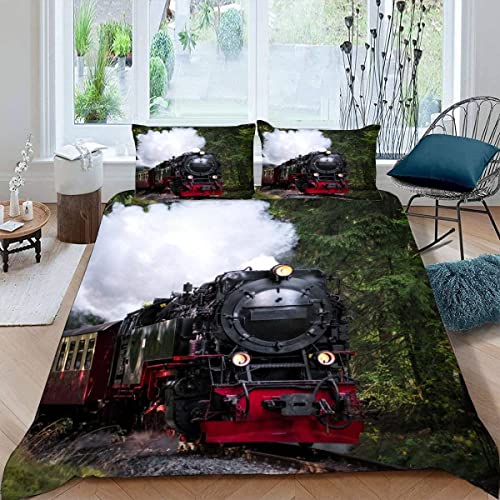 Aurorai Bettwäsche Set Dampflokomotive Eisenbahn 3D Druck Bettwäsche 135x200 Retro-Zug Bettbezug Mikrofaser Weiche Bettbezüge mit Reißverschluss 3 teilig mit 2 Kissenbezüge 80x80cm für Jungen von Aurorai