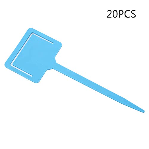 Ausla 20pcs Robuste PVC -Gartenanlagen -Etiketten Clips, Wasserdichtes Wiederverwendbares Saatgut Pfahlwerkzeug, Ideal für die Identifizierung von Anlagen Im Freien mit Vielseitiger Clipfunktion, Ausla 20pcs Robuste PVC -Gartenanlagen -Etiketten Clips, Wasserdichtes Wiederverwendbares Saatgut Pfahlwerkzeug, Ideal für die Identifizierung von Anlagen Im Freien mit Vielseitiger Clipfunktion, von Ausla