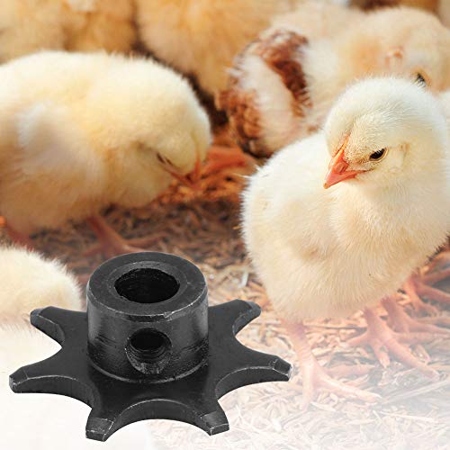 Ausla 2pcs Power Motor Reversible Getriebesrad Ei Drehen Motor Inkubatorzubehör Ackerausrüstung, Eierwende, Wesentliches Accessoire des Landwirtschaft, Effizienter und Ruhiger Betrieb Ausla 2pcs Power Motor Reversible Getriebesrad Ei Drehen Motor Inkubatorzubehör Ackerausrüstung, Eierwende, Wesentliches Accessoire des Landwirtschaft, Effizienter und Ruhiger Betrieb von Ausla