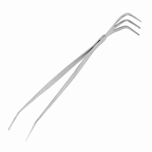 Ausla Bonsai Tool Kit 2-in-1 Edelstahl Bonsai Rake und Pinzetten mit Ergonomischem Griff für Care-Enthusiasten Anfänger von Ausla